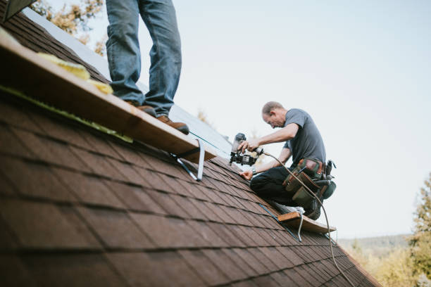 Best Storm Damage Roof Repair  in Sidney, MT